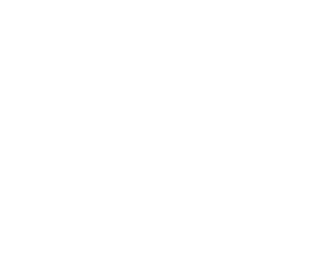 Built bit by bit logo