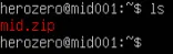 wget output